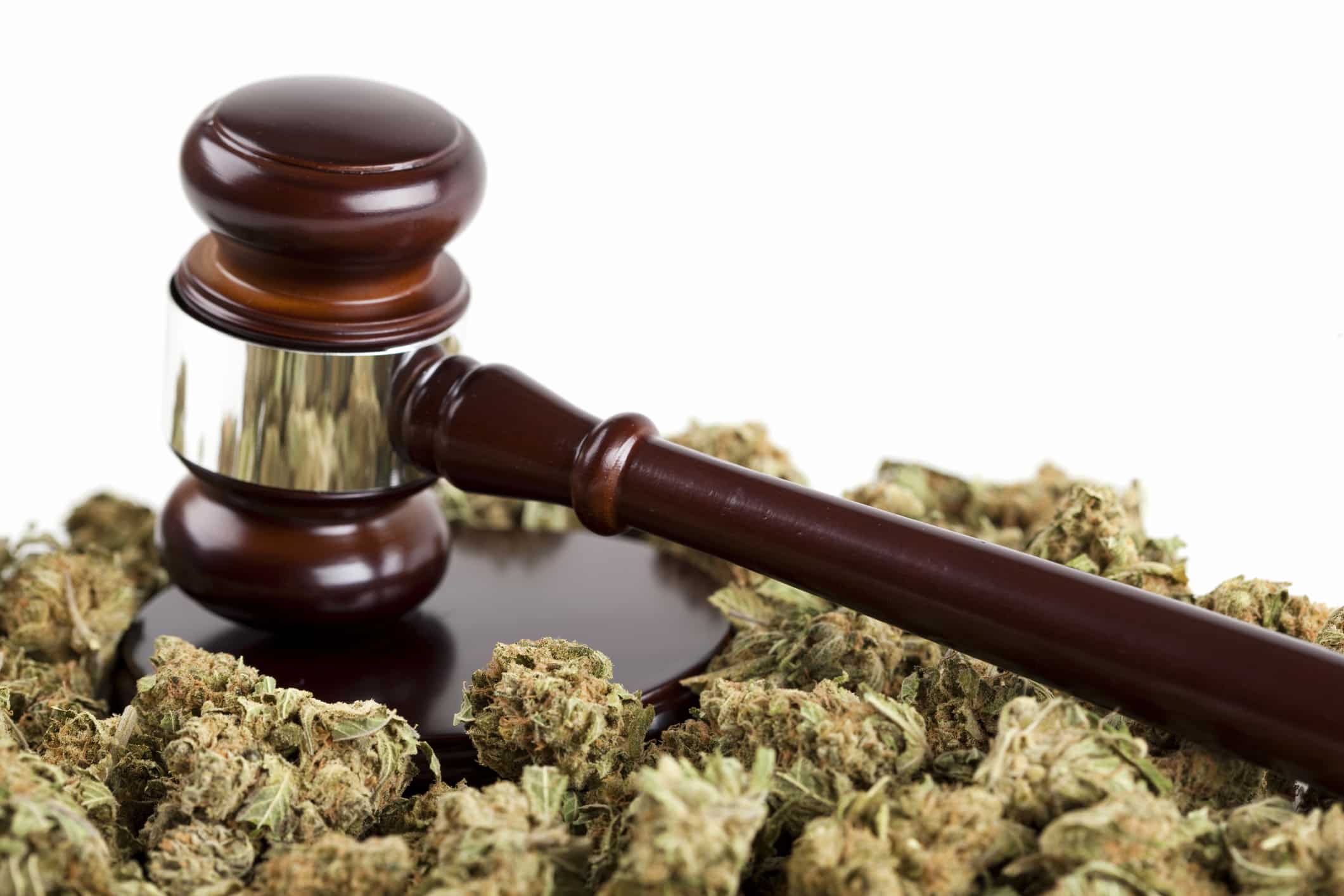 Marijuana and gavel conceptual image for legalization of marijuana for medical or personal use. Also works for the criminal aspects of the drug.